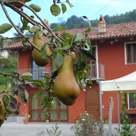 Mammanella *
