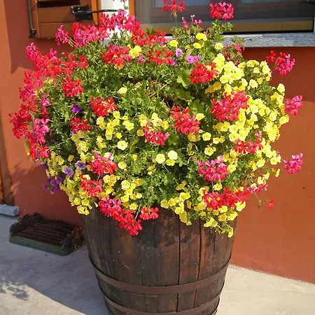 Bed & Breakfast Mammanella Alba (Piedmont)