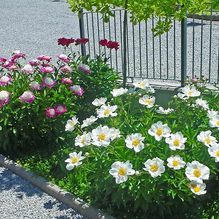 Mammanella Alba (Piedmont)